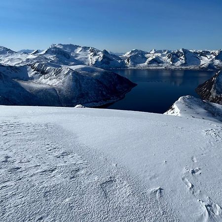 Leilighet I Rorbu Pa Kaldfarnes - Yttersia Senja Ngoại thất bức ảnh