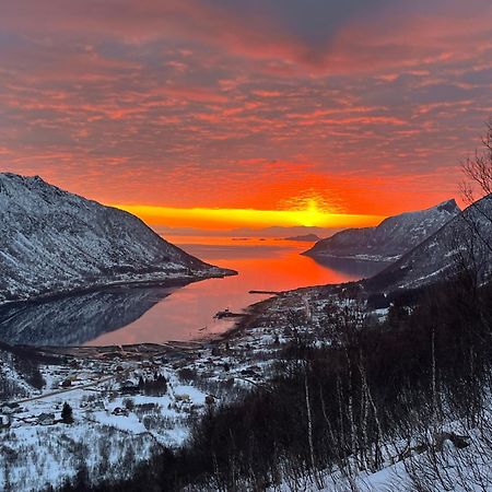 Leilighet I Rorbu Pa Kaldfarnes - Yttersia Senja Ngoại thất bức ảnh