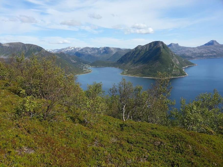 Leilighet I Rorbu Pa Kaldfarnes - Yttersia Senja Ngoại thất bức ảnh