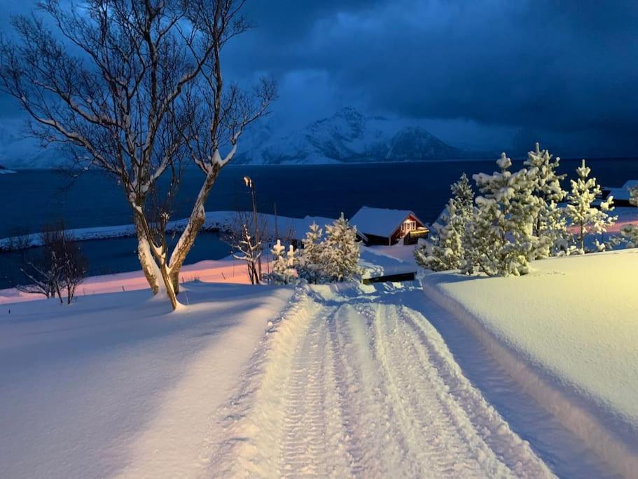 Leilighet I Rorbu Pa Kaldfarnes - Yttersia Senja Ngoại thất bức ảnh
