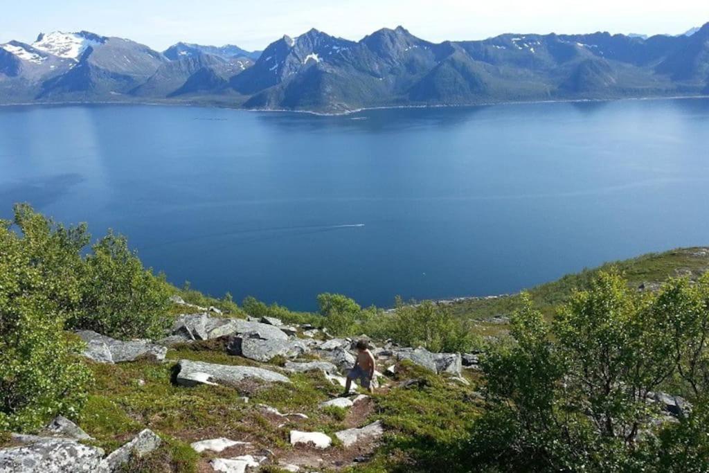 Leilighet I Rorbu Pa Kaldfarnes - Yttersia Senja Ngoại thất bức ảnh